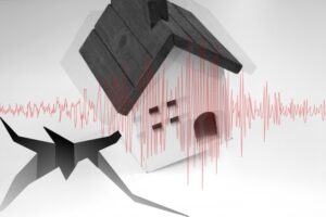 賃貸でも地震保険は必要か?補償はどうなる?加入すべき保険は?