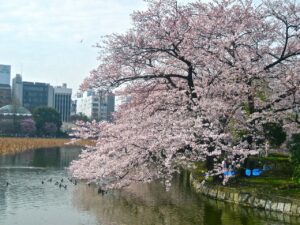 皇室と王室違いは?日本と外国では明らかな違いがあった!