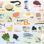 ビタミンBを多く含む食べ物はこれ!おすすめの理由を徹底解説