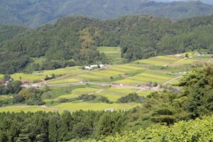 限界集落への移住は良いことずくめ！優良物件や補助金も!?