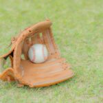 「実力のある選手集めれば勝つの当然?」大阪桐蔭の野球部員の出身地