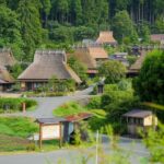 本家と分家の違いは?いまどきの事情をわかりやすく解説します