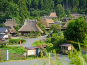 本家と分家の違いは?いまどきの事情をわかりやすく解説します
