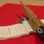 カニササレアヤコの本名は？調べてみたらプロフィールがスゴかった！