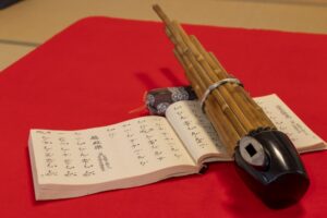 カニササレアヤコの本名は?調べてみたらプロフィールがスゴかった!