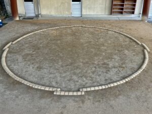 若元春かわいい！大関に挑戦する人気力士の経歴とプロフィール