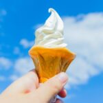 ソフトクリームと言うのは日本だけ!英語など外国語では何と言う?