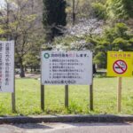 「条例」「規則」「要綱」の違いをわかりやすく解説します