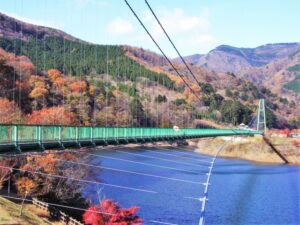 もみじ谷大吊橋の魅力とは？観光情報と訪れた人の口コミを集めました