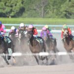オニャンコポンってどんな馬?珍名の由来・意味と競走成績、ファンの反応を解説