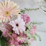 武尊さんとの結婚を発表した川口葵さんとはどんな女性？プロフィール・経歴まで解説！