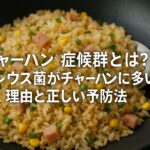 チャーハン症候群とは？セレウス菌がチャーハンに多い理由と正しい予防法