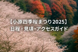 【小原四季桜まつり2025】秋に咲く桜と紅葉の絶景！日程・見頃・アクセス完全ガイド