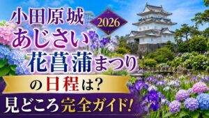 小田原城あじさい花菖蒲まつり2026の日程は？見どころ完全ガイド！