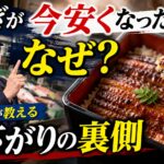 うなぎが今安くなったのはなぜ？鮮魚担当が教える値下がりの裏側