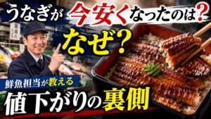 うなぎが今安くなったのはなぜ？鮮魚担当が教える値下がりの裏側