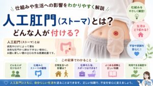人工肛門（ストーマ）とは？どんな人が付ける？仕組みや生活への影響をわかりやすく解説