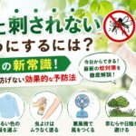 【令和の新常識】蚊に刺されないようにするには？昔の対策では防げない効果的な予防法