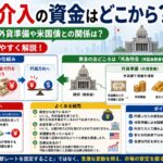 円買い介入の資金はどこから？税金なの？外貨準備や米国債との関係をわかりやすく解説