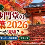 京都・毘沙門堂の紅葉2026はいつが見頃？混雑状況や空いている時間帯・アクセスを解説