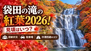 袋田の滝の紅葉2026！見頃はいつ？混雑状況や駐車場・渋滞回避のコツを徹底解説
