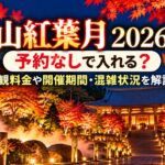 京都「智山紅葉月2026」は予約なしで入れる？拝観料金や開催期間・混雑状況を解説！