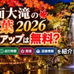 箕面大滝の紅葉2026ライトアップは無料？開催期間・点灯時間・見頃や混雑情報を紹介！
