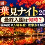 森林公園「紅葉見ナイト2026」の最終入園は何時？開催時間や入場料金・注意点を解説！