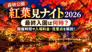 森林公園「紅葉見ナイト2026」の最終入園は何時？開催時間や入場料金・注意点を解説！
