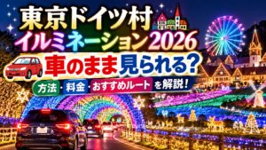東京ドイツ村イルミネーション2026は車のまま見られる？方法・料金・おすすめルートを解説！