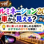 東京ドイツ村イルミネーション2026は車から見える？車に乗ったまま楽しめる場所やおすすめの回り方を解説！