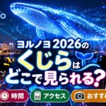 ヨルノヨ2026のくじらはどこで見られる？場所・時間・アクセス・おすすめ撮影スポットを解説