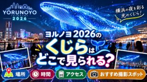 ヨルノヨ2026のくじらはどこで見られる？場所・時間・アクセス・おすすめ撮影スポットを解説